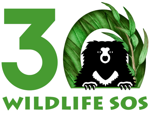 Wildlife SOS logo